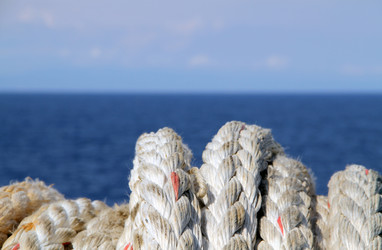 Similar image 8074969