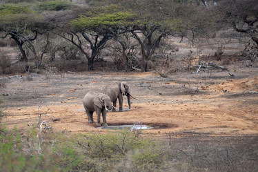 Similar image 8074971