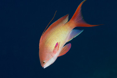 Similar image 8074972