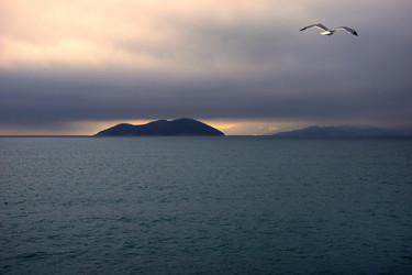 Similar image 8074974