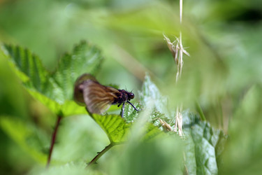 Similar image 8074984