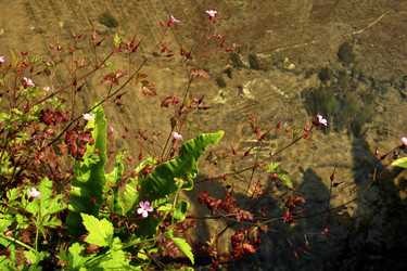 Similar image 8074987