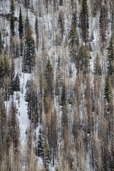 Similar image 8075002