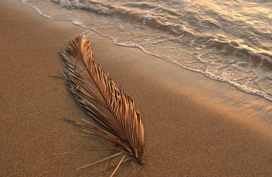 Similar image 8075009