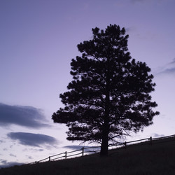 Similar image 8075010