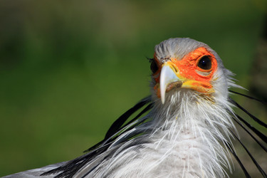 Similar image 8075017