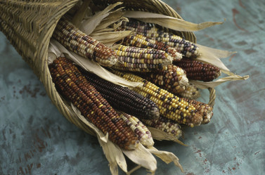 Similar image 8075023