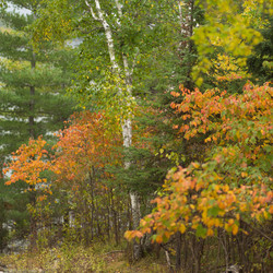 Similar image 8075025