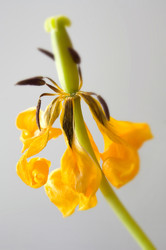 Similar image 8075028