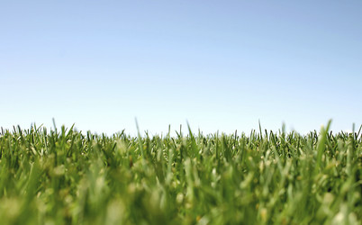 Similar image 8075042