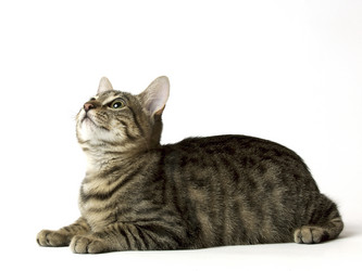 Similar image 8075046