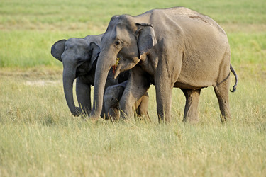 Similar image 8075056