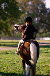 Similar image 8075059