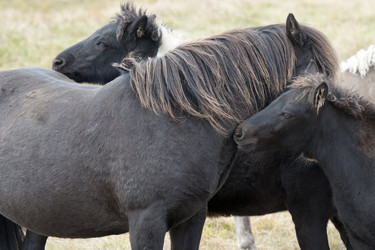 Similar image 8075067