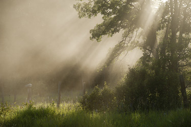 Similar image 8075068