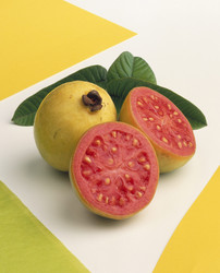 Similar image 8075070