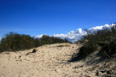 Similar image 8075074