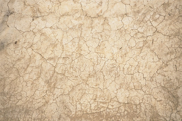 Similar image 8075077