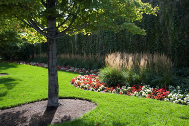 Similar image 8075079