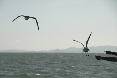 Similar image 8075081