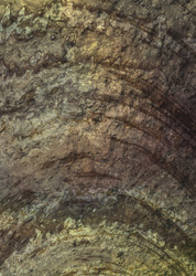 Similar image 8075087