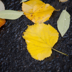 Similar image 8075089