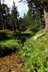 Similar image 8075091