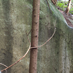 Similar image 8075094