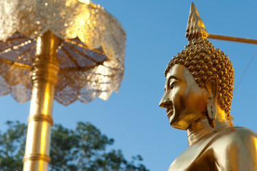 Similar image 8075097