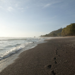 Similar image 8075098