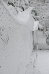 Similar image 8075103