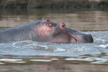 Similar image 8075110