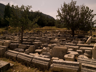 Similar image 8075114