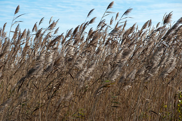 Similar image 8075115