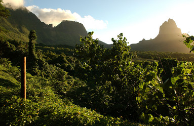 Similar image 8075117