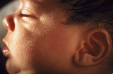 Similar image 8075120