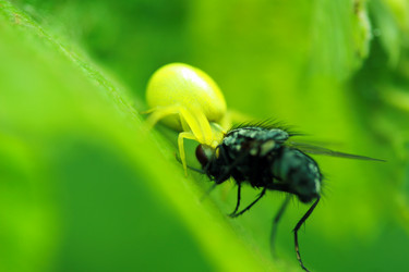 Similar image 8075137