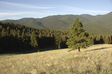 Similar image 8075146