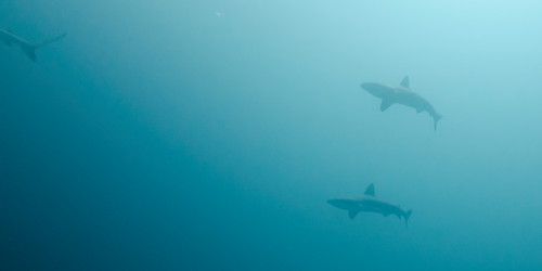 Similar image 8075147