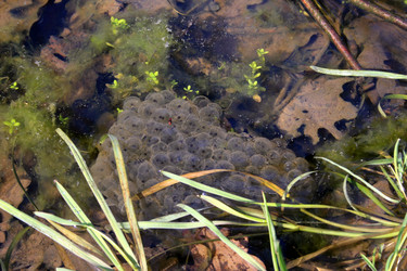 Similar image 8075151