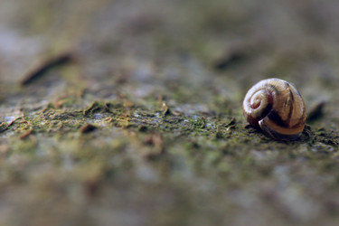 Similar image 8075153