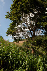 Similar image 8075156