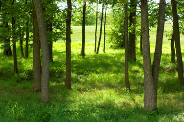 Similar image 8075157