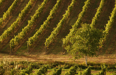 Similar image 8075159