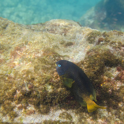 Similar image 8075165