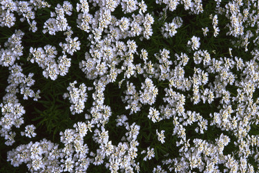 Similar image 8075166