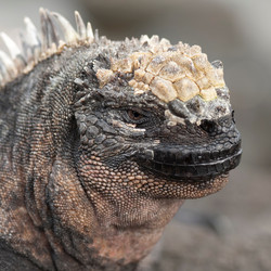 Similar image 8075167