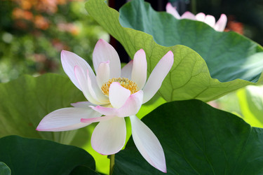 Similar image 8075168