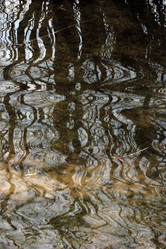 Similar image 8075170