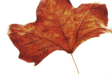 Similar image 8075174